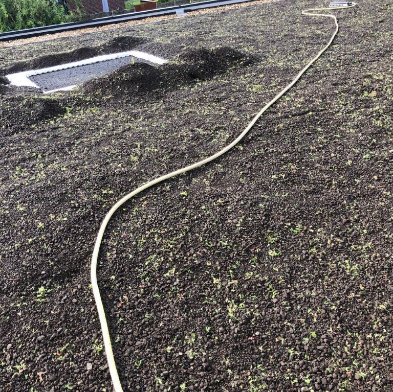 D. Jakobs UG (haftungsbeschränkt) & Co. KG