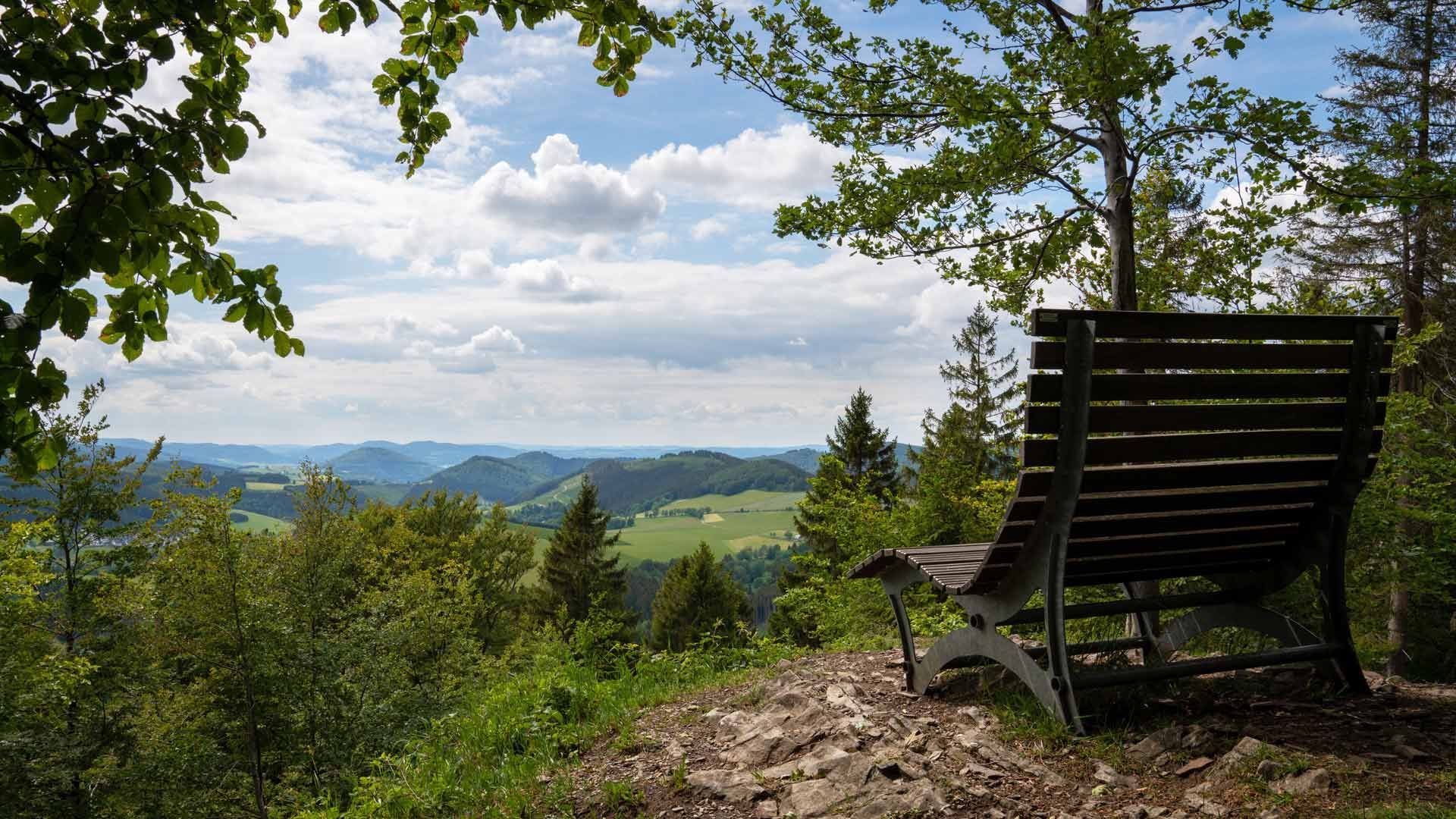 Holzbank mit Blick auf ein malerisches Bergpanorama mit grünen Bäumen und bewölktem Himmel.