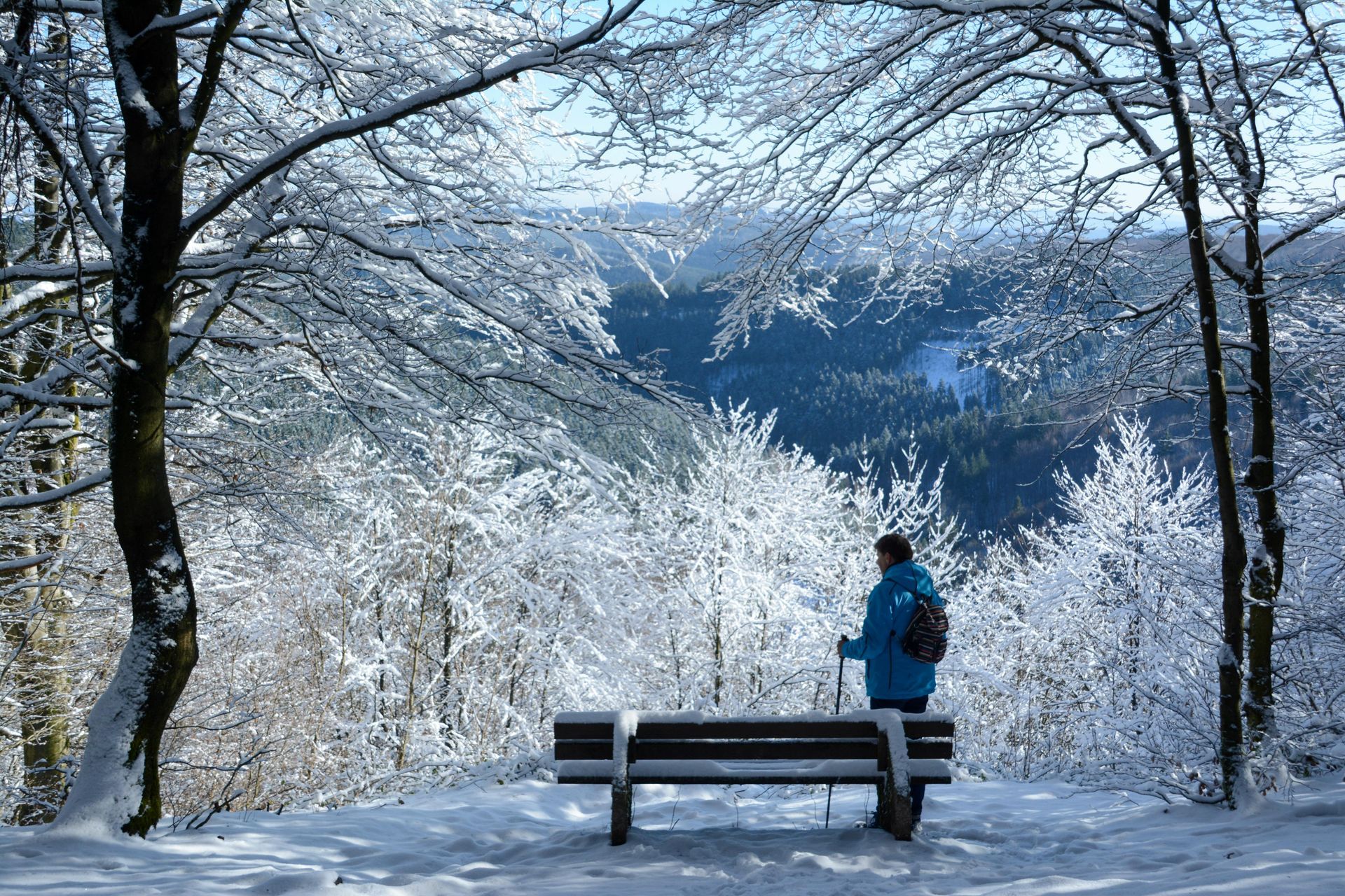 Eine Person sitzt auf einer schneebedeckten Bank und blickt auf ein Tal mit schneebedeckten Bäumen.
