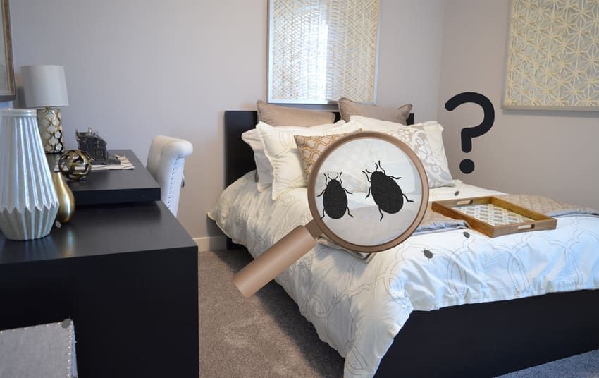 Un dormitorio con una cama y una lupa mirando chinches.
