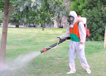 Un hombre que lleva una máscara de gas está rociando un árbol en un parque.