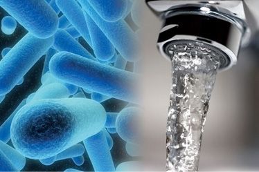 Una imagen de bacterias junto a una imagen de agua saliendo de un grifo.