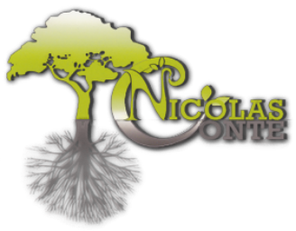 Logo Nicolas Conte