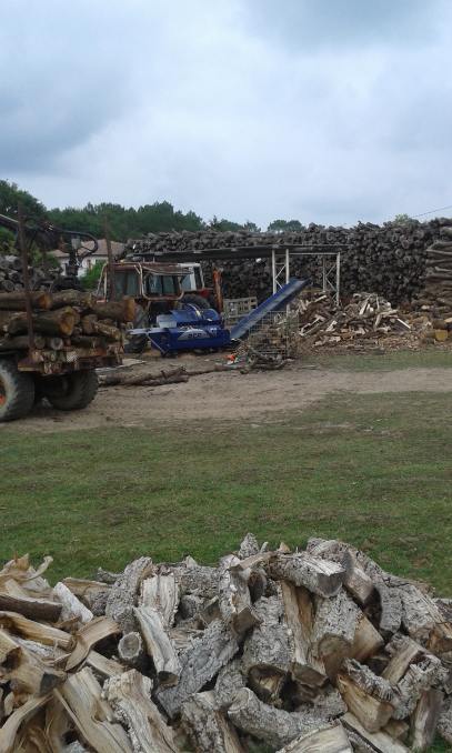 Travaux forestiers à Tarnos