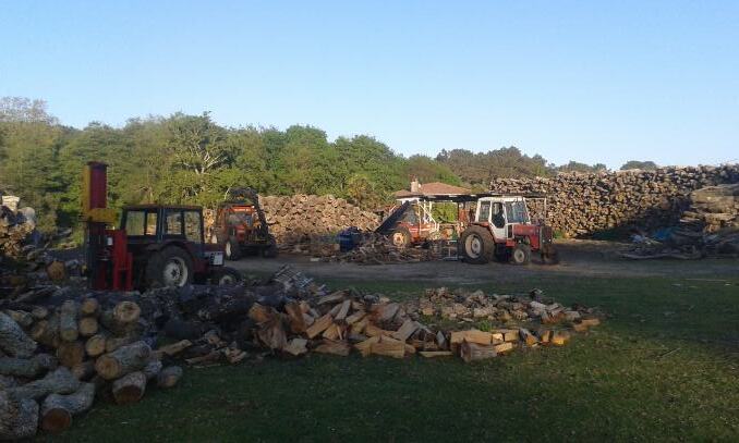 Gestion et entretien de terrains forestiers