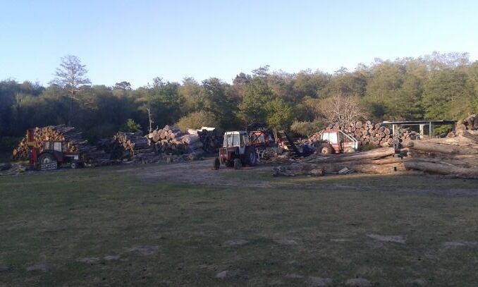 Gestion de terrains forestiers