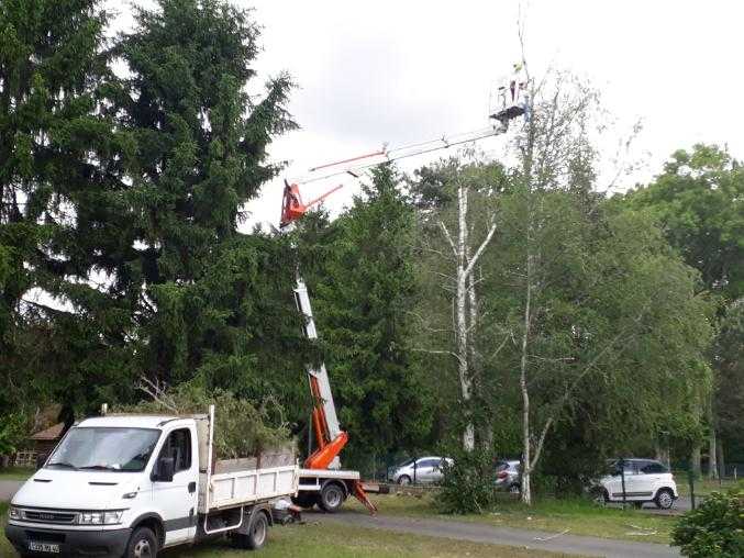 Équipe de professionnels