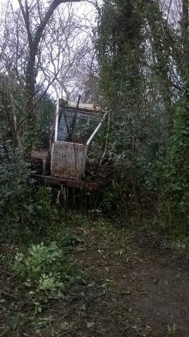 Nettoyage de forêts