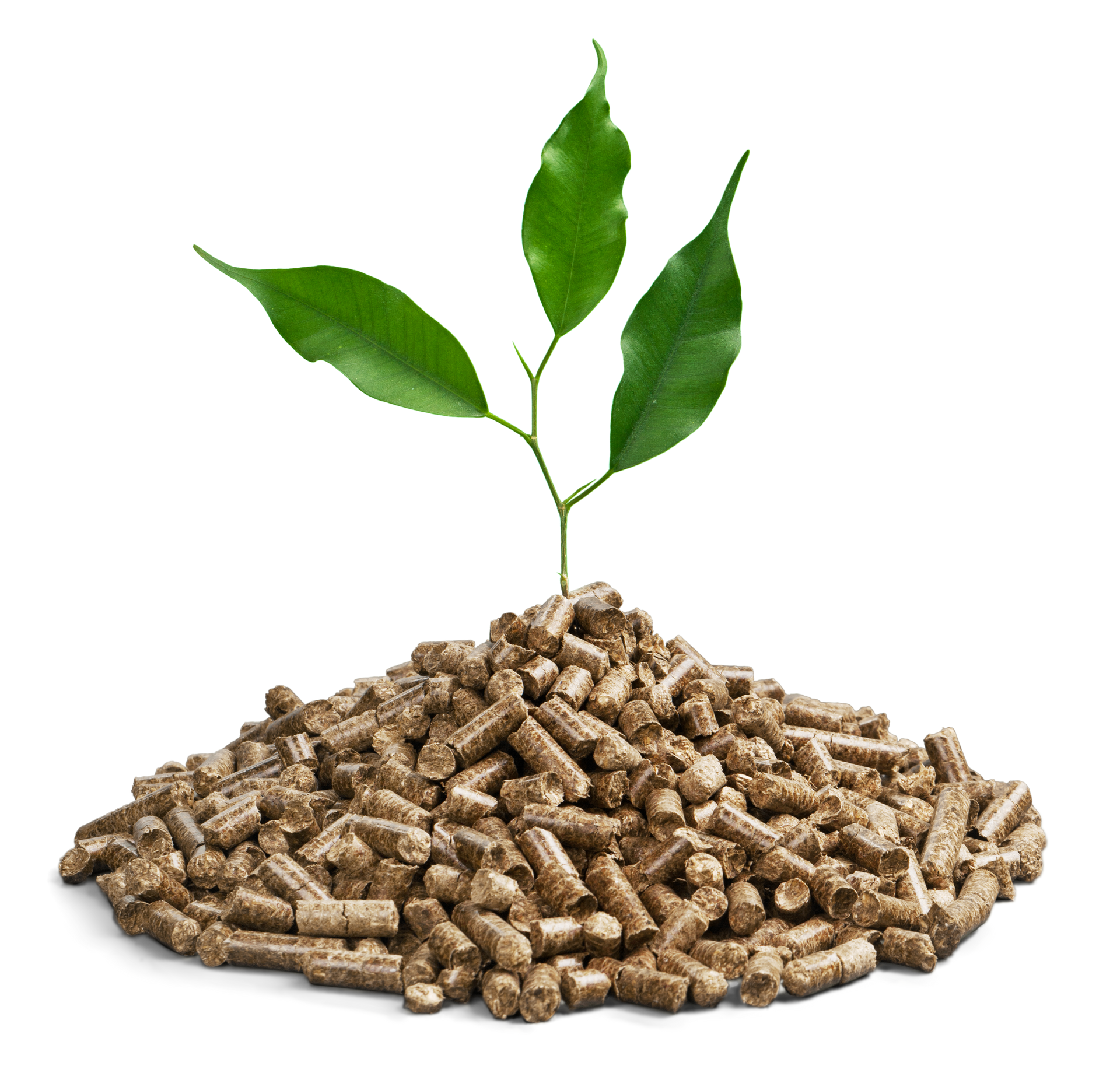 Granulés de bois avec quelques feuilles