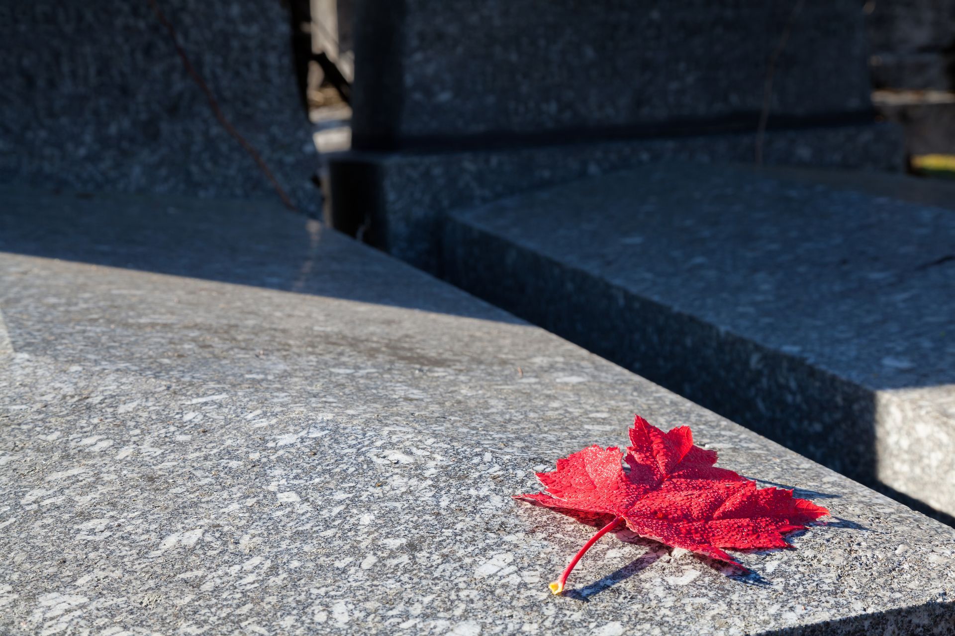 Feuille d'érable rouge sur une pierre tombale en granit gris dans un cimetière, avec des ombres.