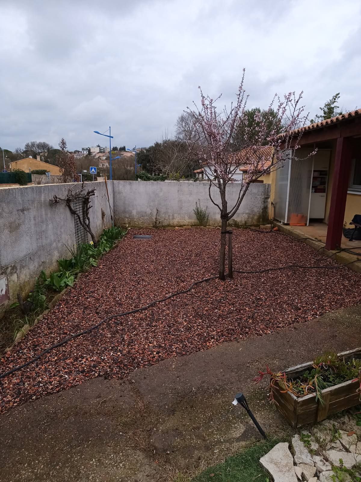 Aménagement paysager devant la maison