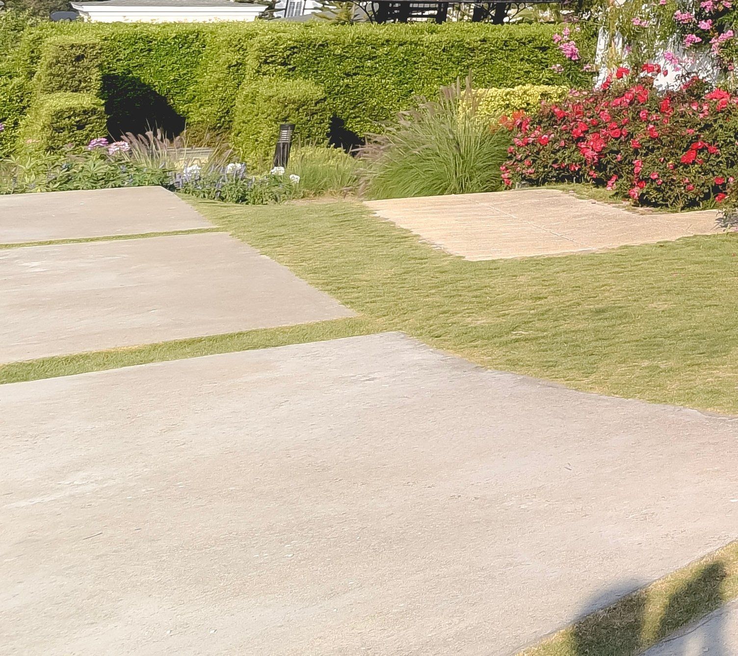 Démoussage de toiture