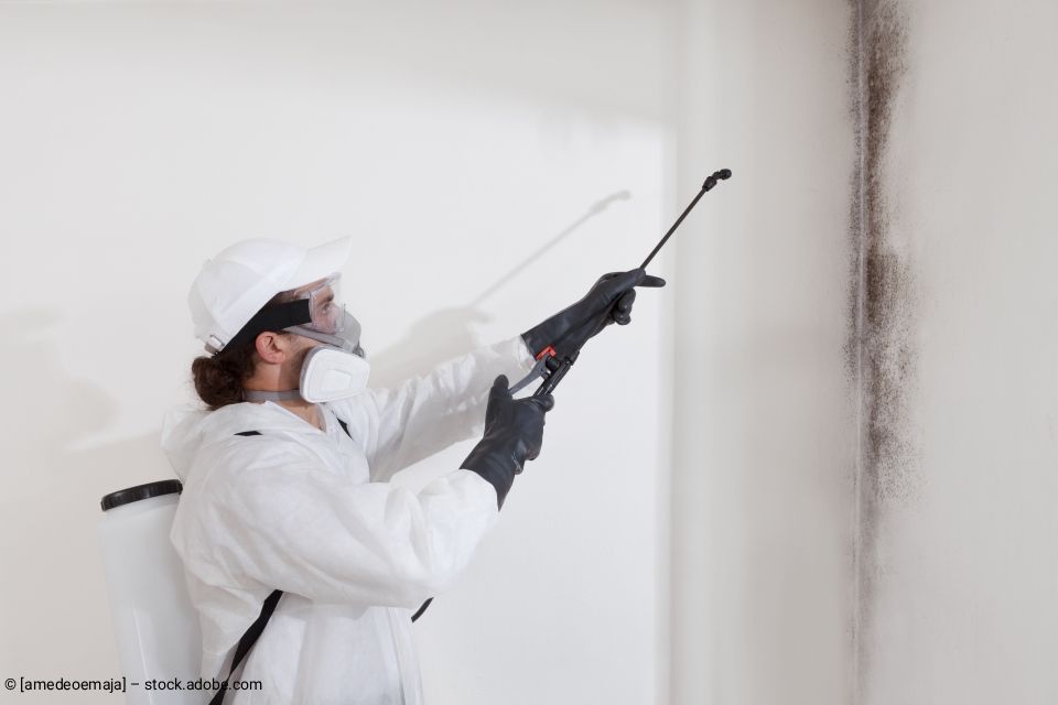 Person in Schutzkleidung besprüht Wand mit Schimmel.