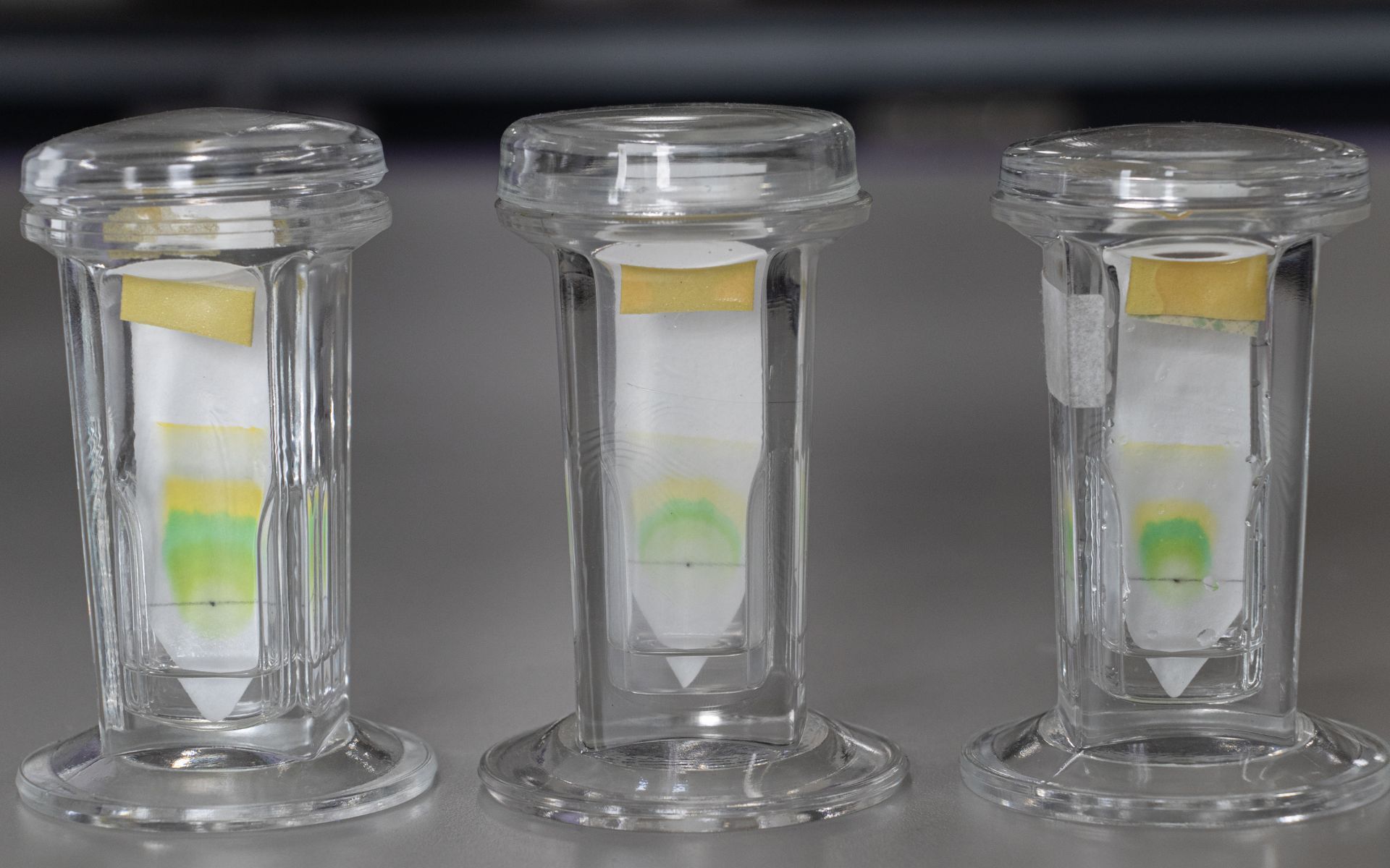 Tres tubos de vidrio transparente llenos de líquido están sobre una mesa.