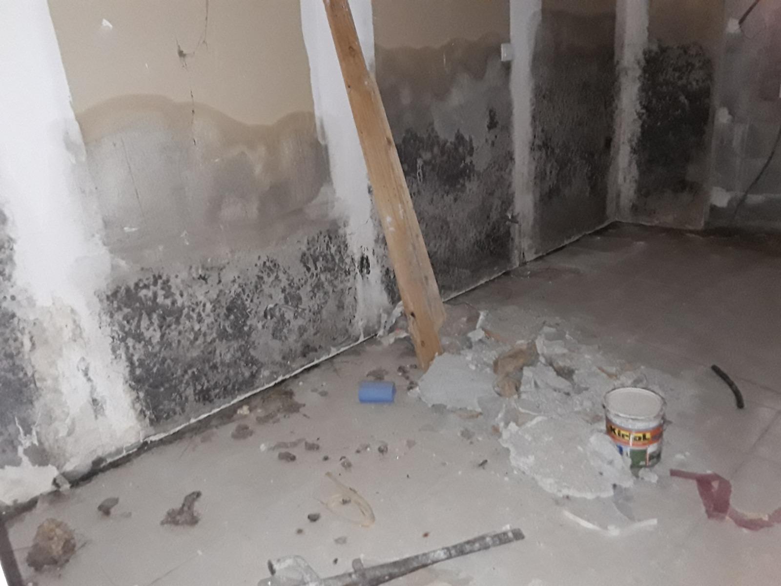 A Meze (34110) les moisissures détruisent les plâtres