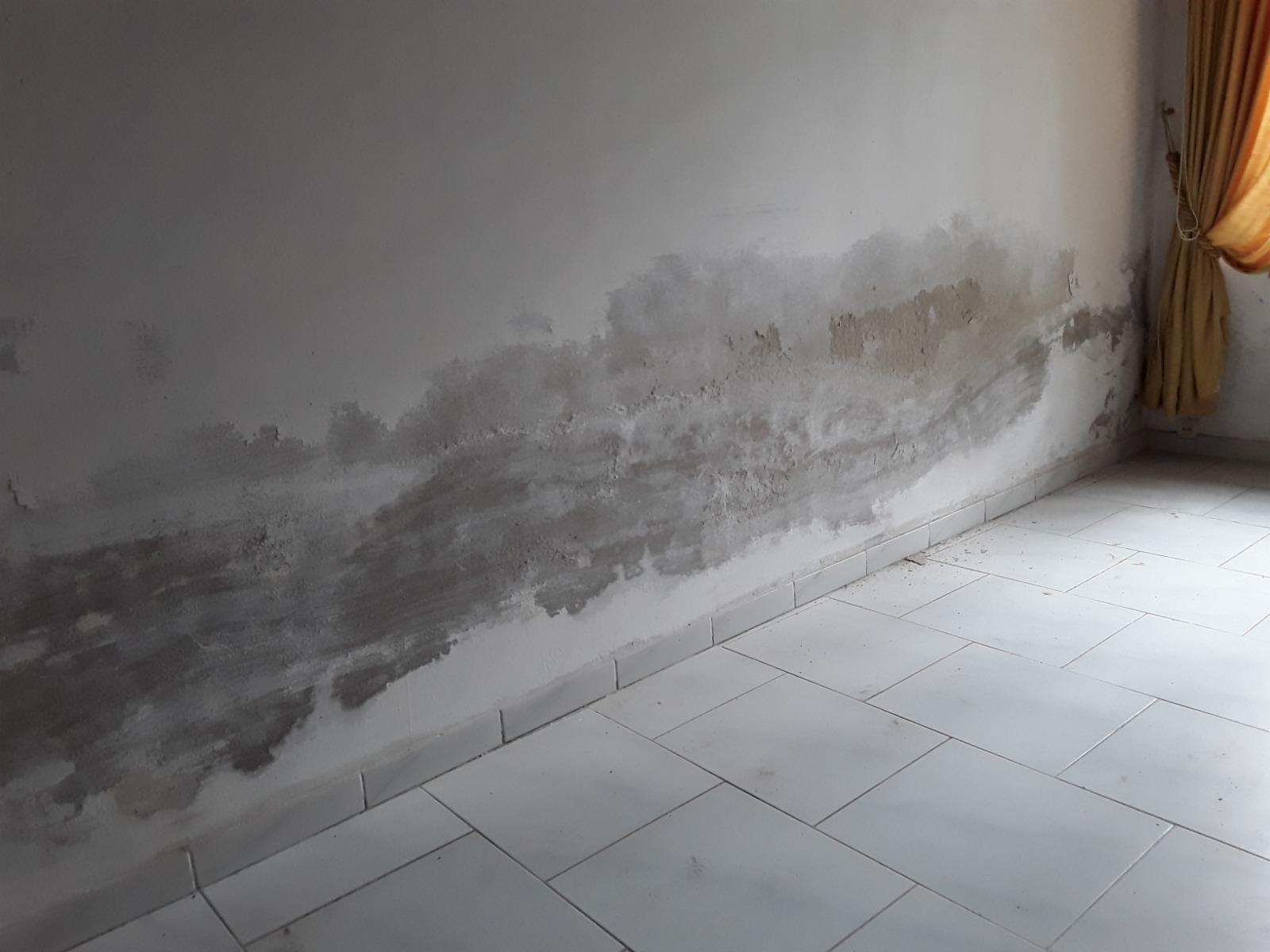 Argeles-sur-Mer (66700) Humidité. Remontées capillaires. Moisissures