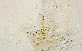 Cloques 32 problème d’humidité à Montpellier (Hérault) 34