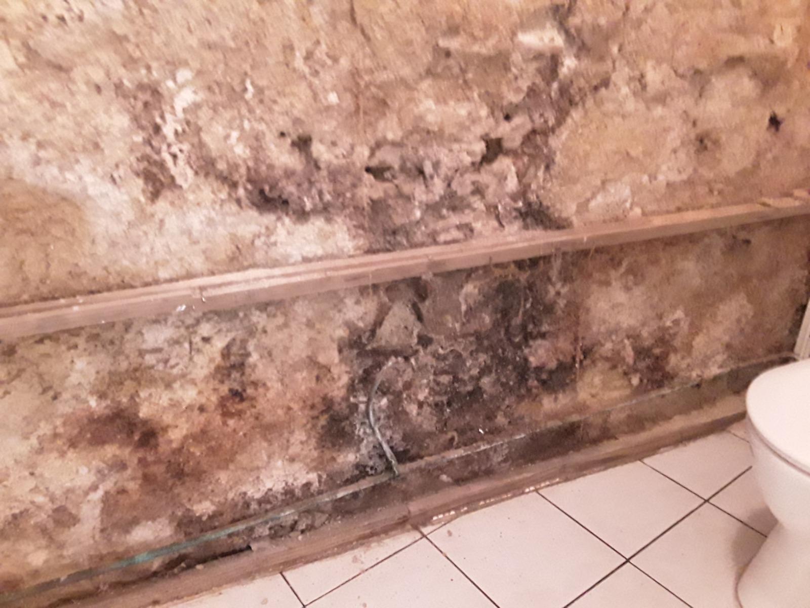 Comment éliminer les moisissures a Vendargues (34740) Humidité