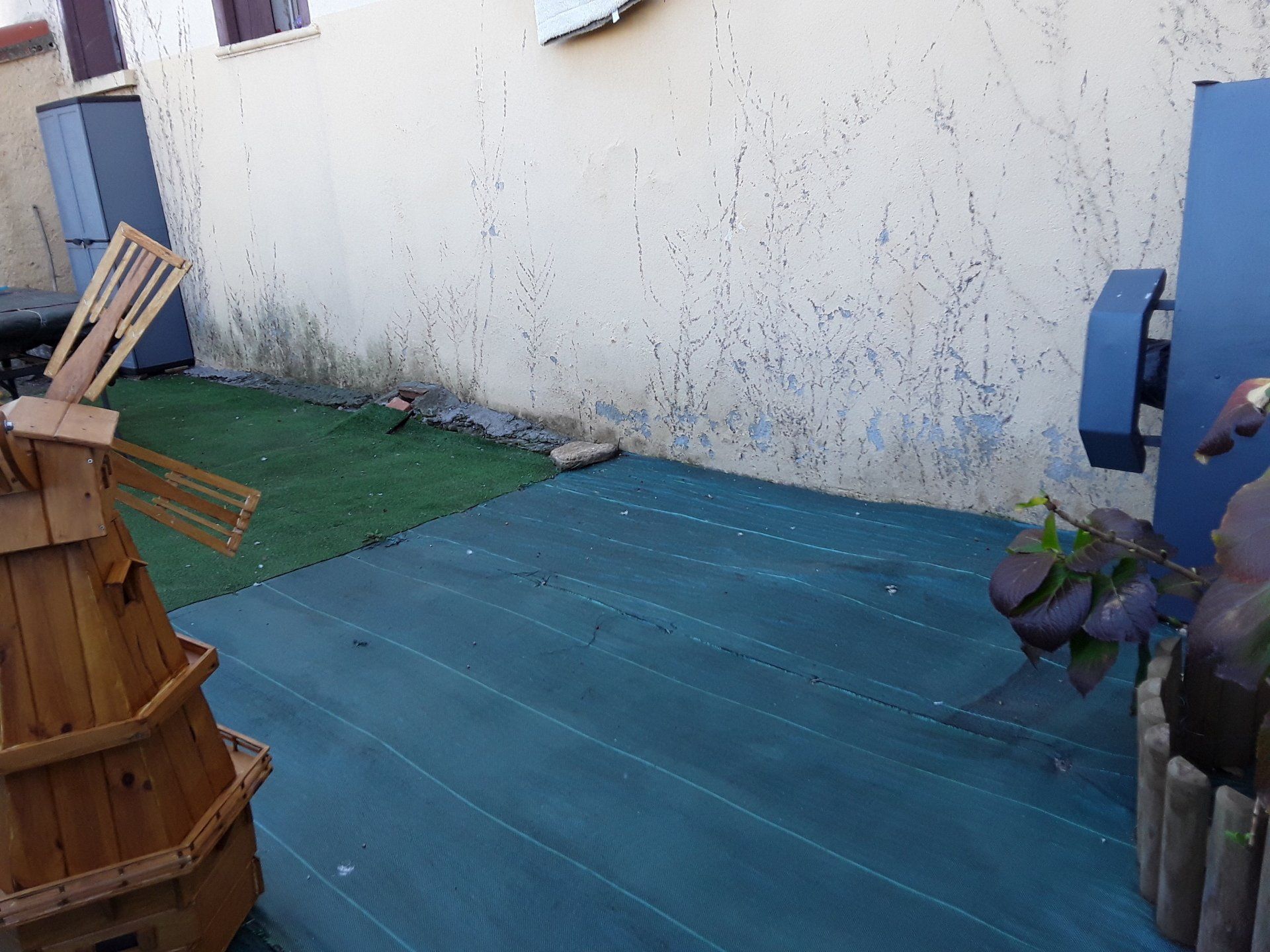 Peinture d'un mur décollées par l'humidité