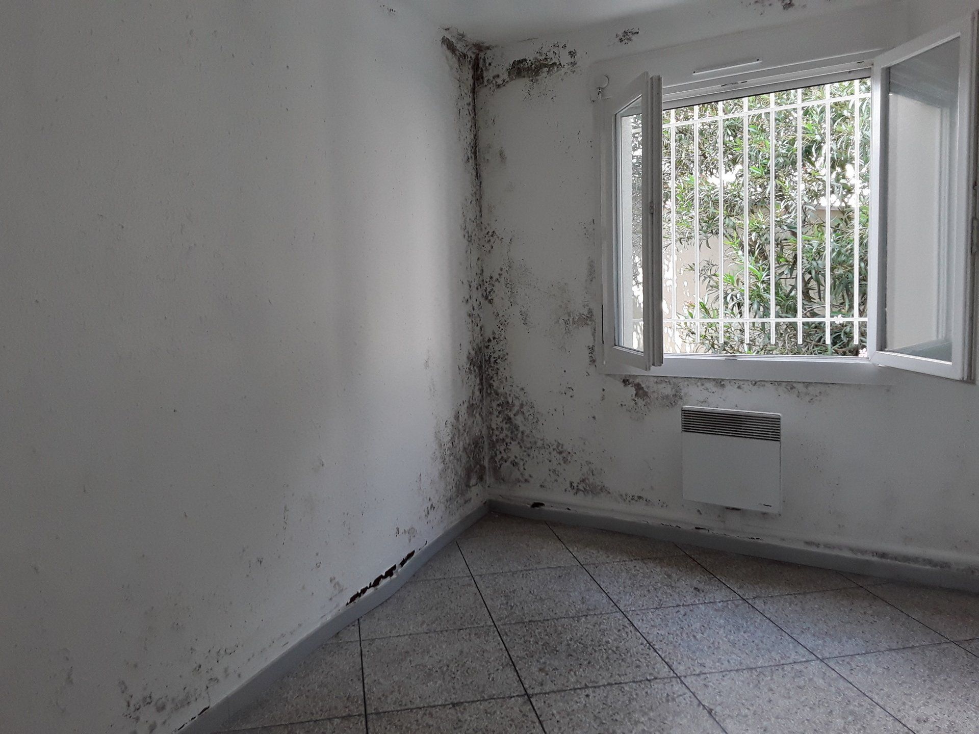 Moisissures dans une pièce blanche