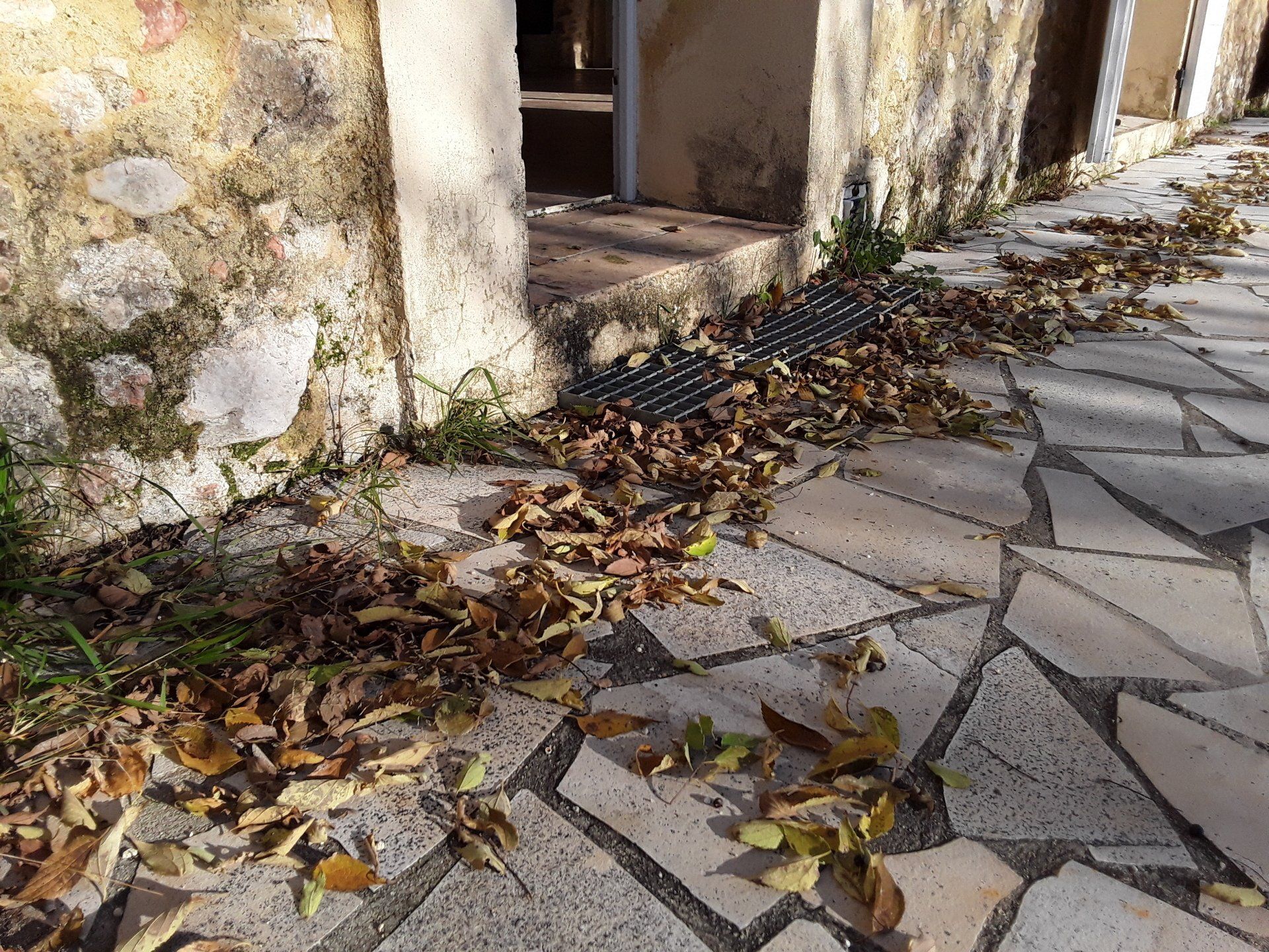 Traces d'humidité et de mousse à la base d'un mur extérieur