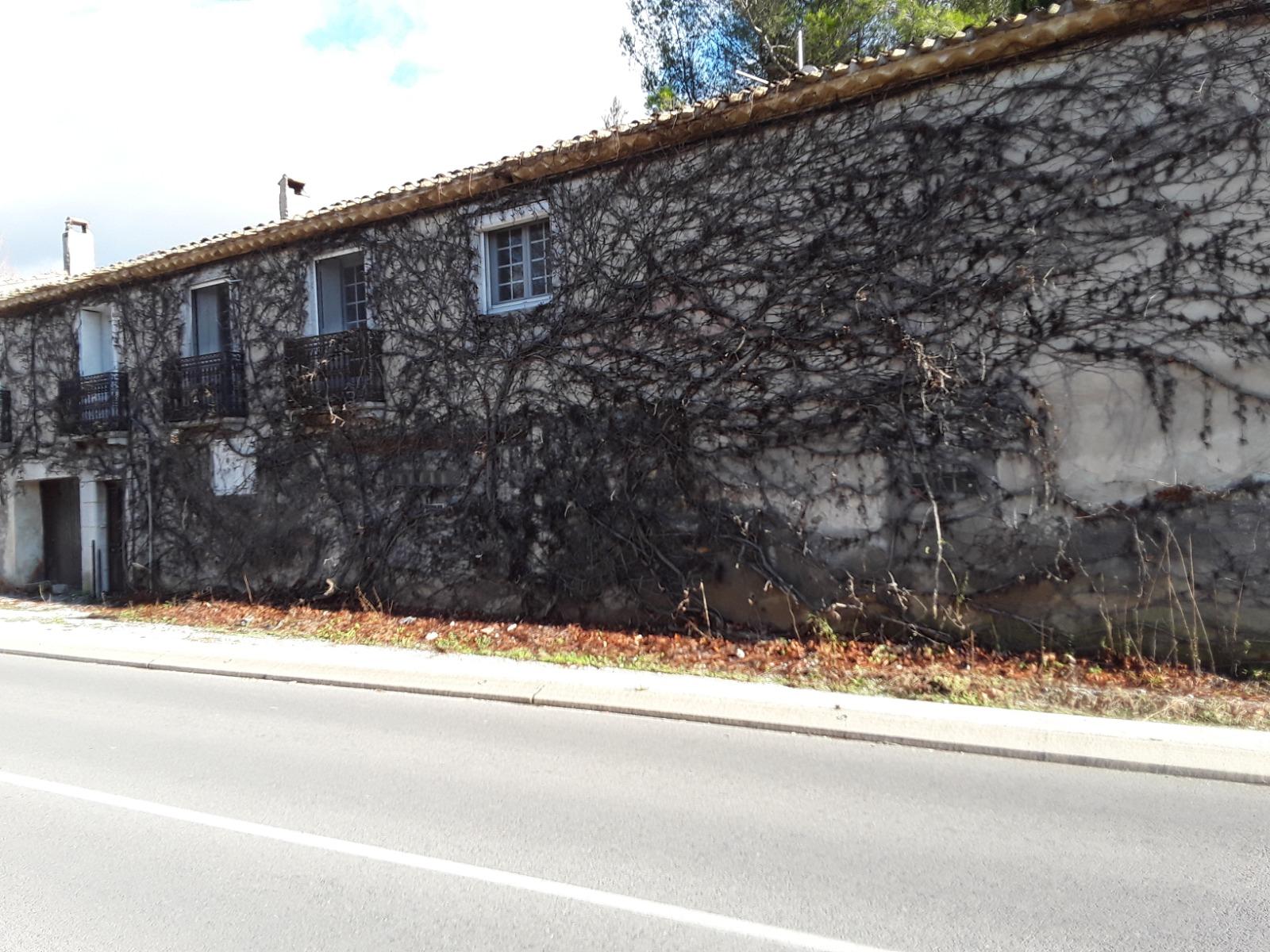 Façade d'une maison envahie par la salpêtre
