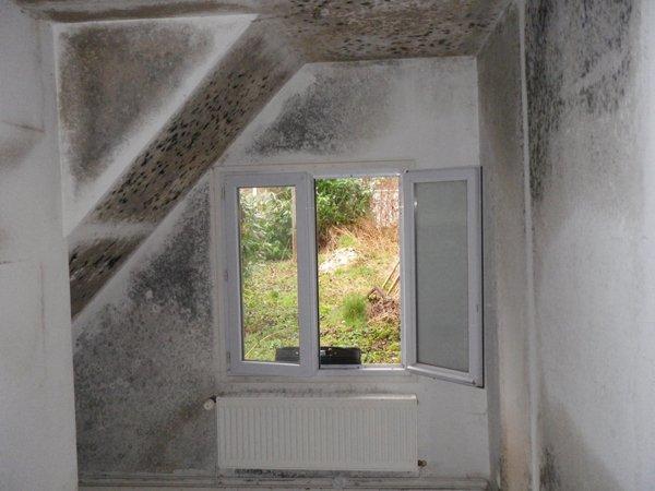 Moisissure dans une chambre à Avignon