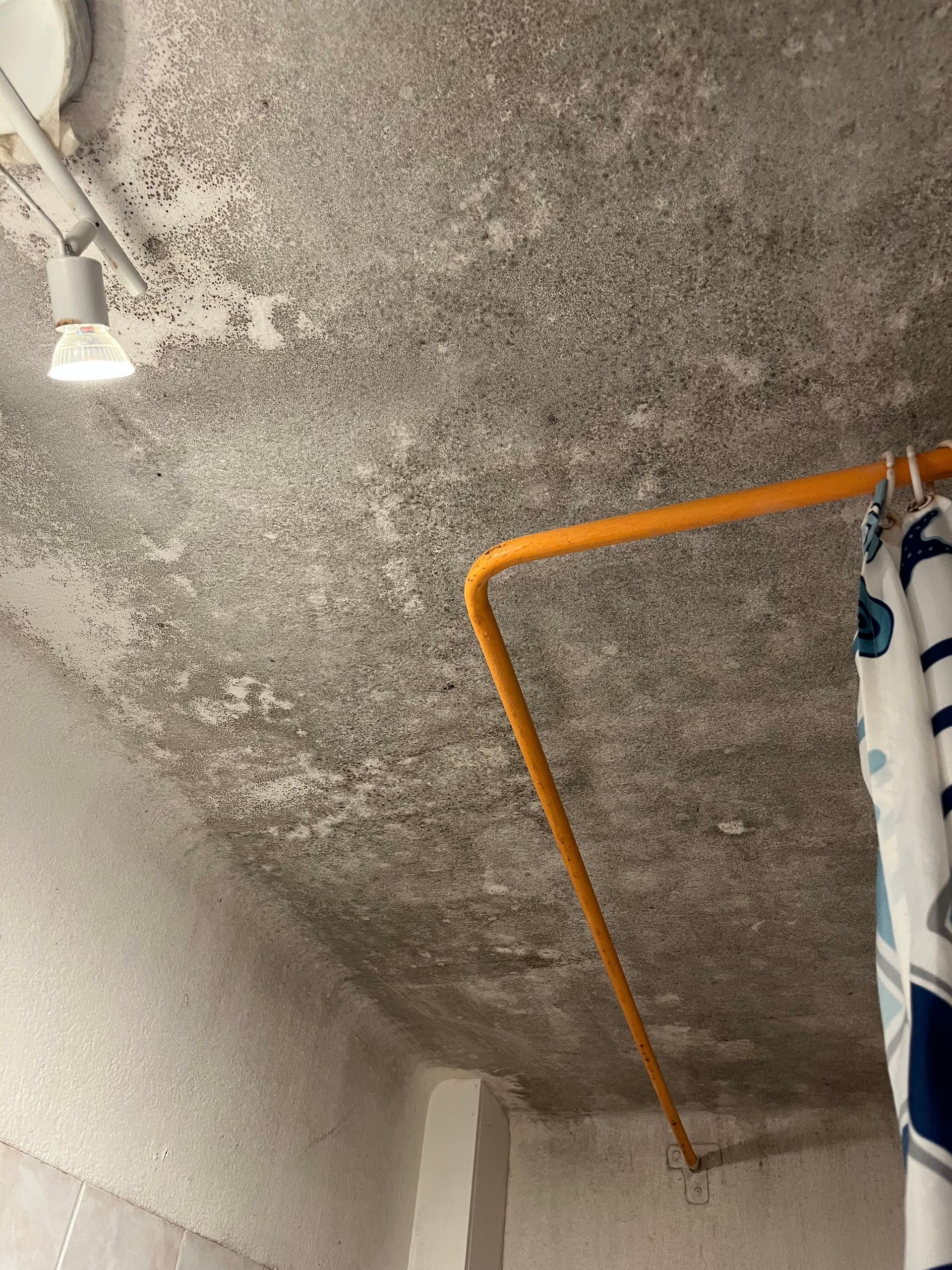 Problèmes de moisissures  plafond à Frontigna,