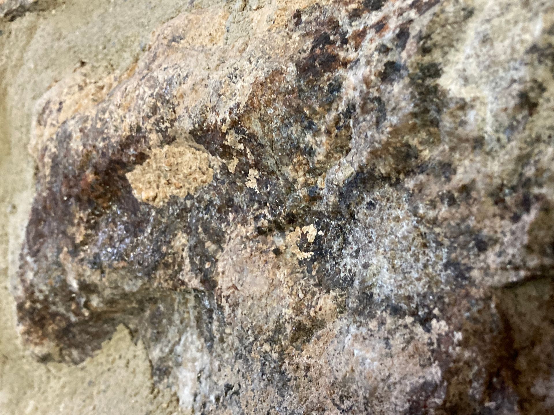 Façade humide avec salpêtre