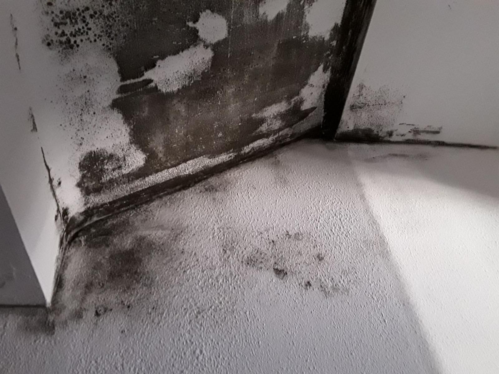 Humidité 32 condensation à Laroque (66740) Salpêtre. Remontées capillaires