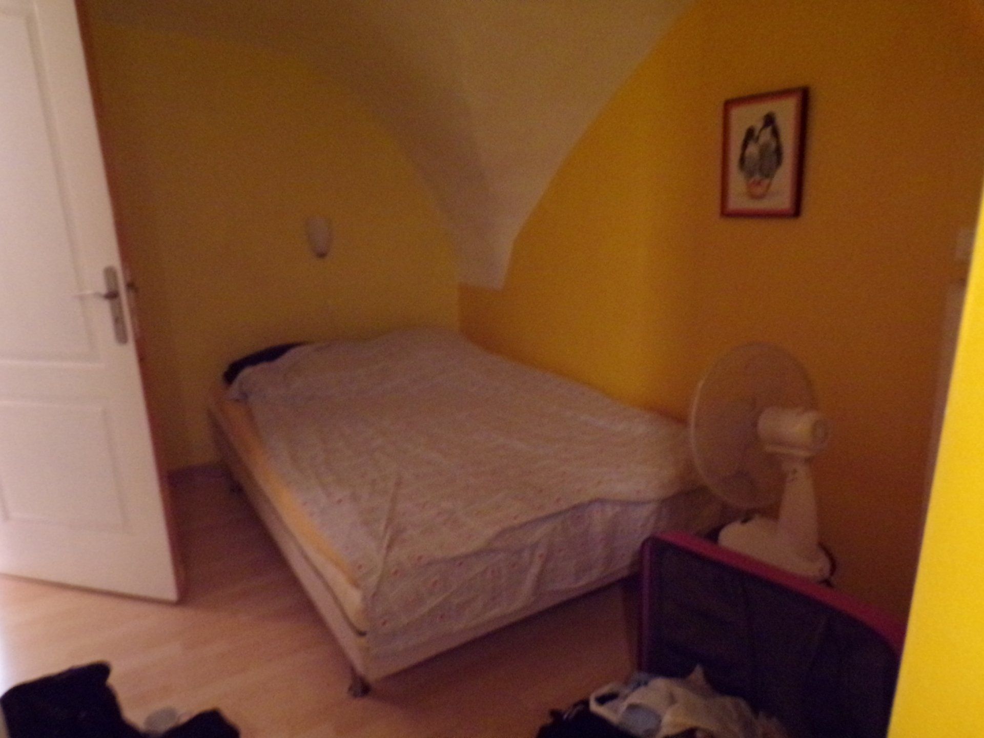 Moisissure sur les murs d'une chambre jaune