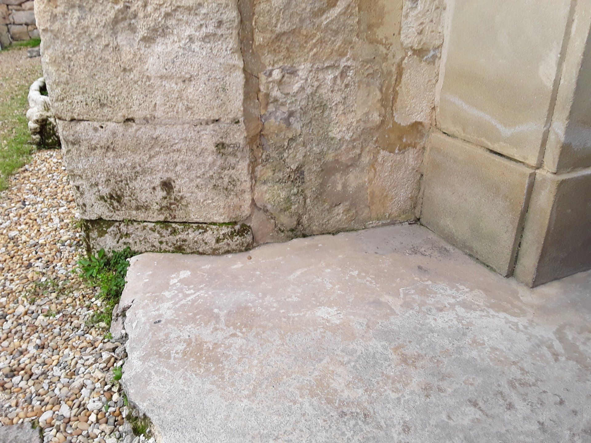 Moisissure sur le bas d'un bâtiment en pierre