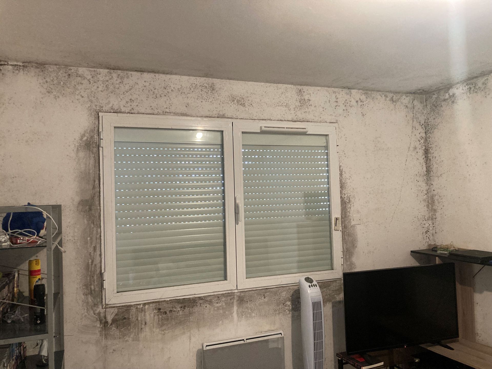 Moisissure aux murs et autour d'une fenêtre