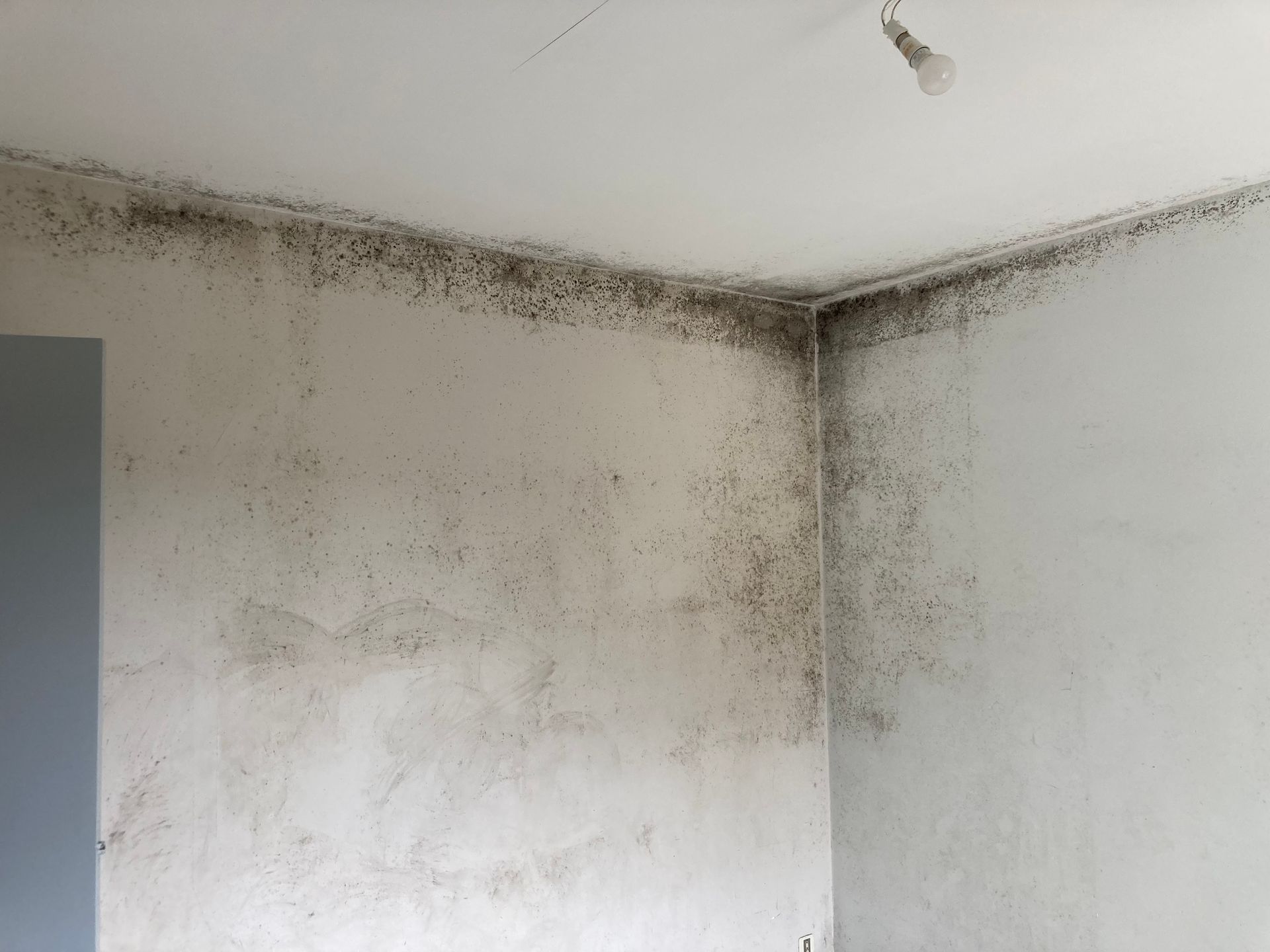 Eliminer les moisissures d'un mur à LUNEL 34400