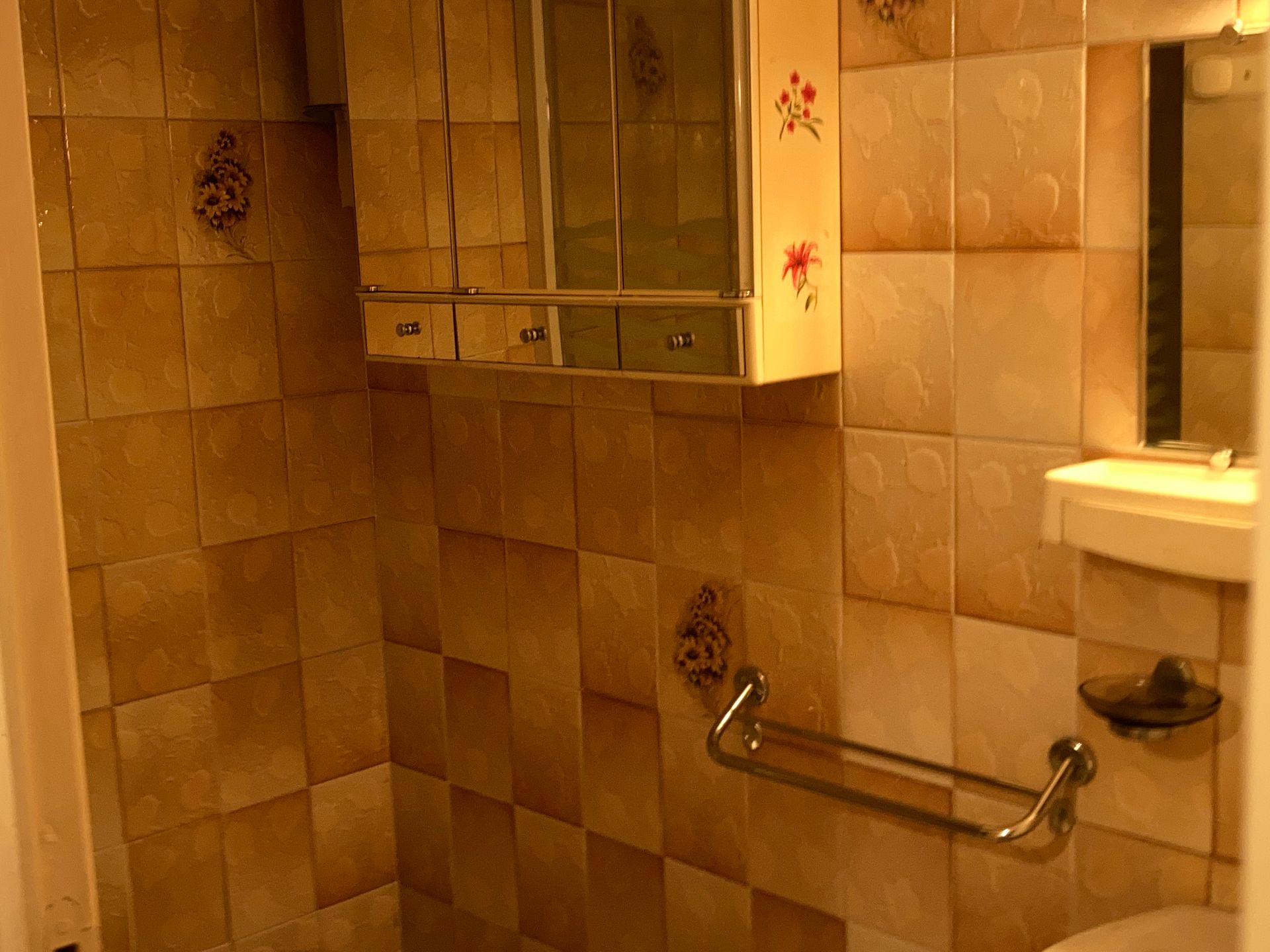 Moisissure dans une salle de bain