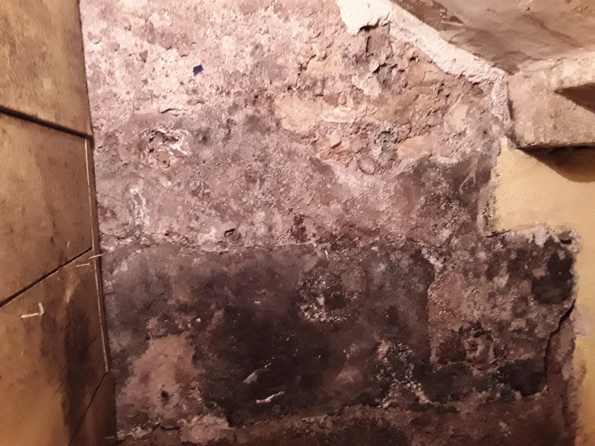 Un dégât des eauxlongteps ignoré survenu dans une cave produit moult moisissures