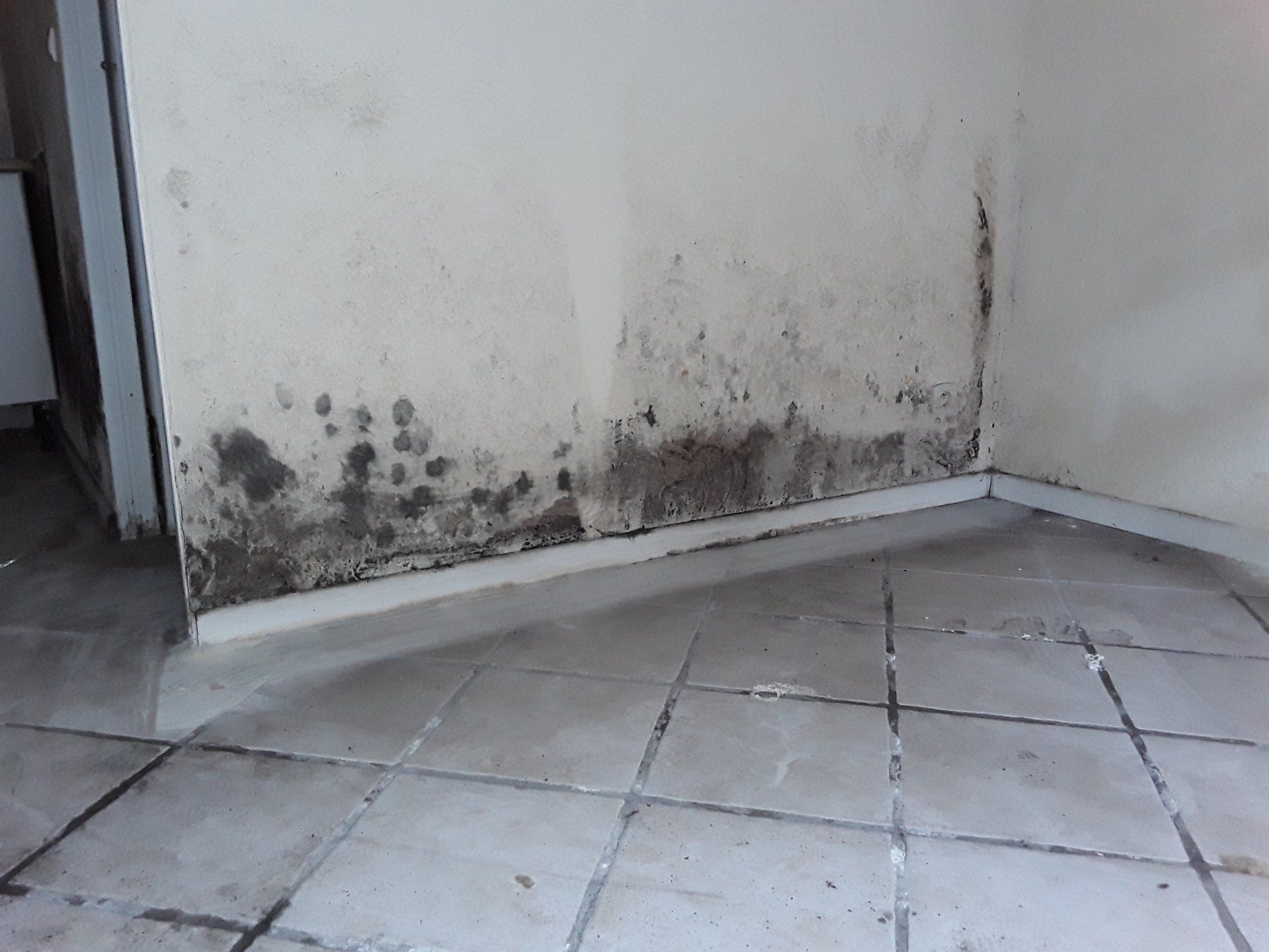 Moisissures noires en bas d'un mur blanc