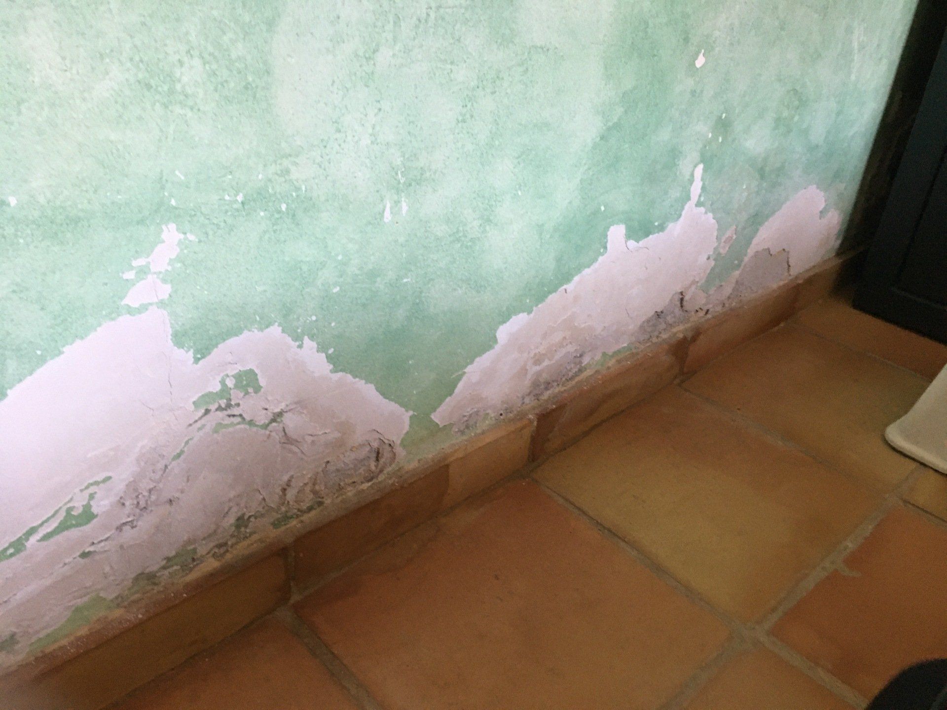 bas d'un mur vert ravagé par l'humidité