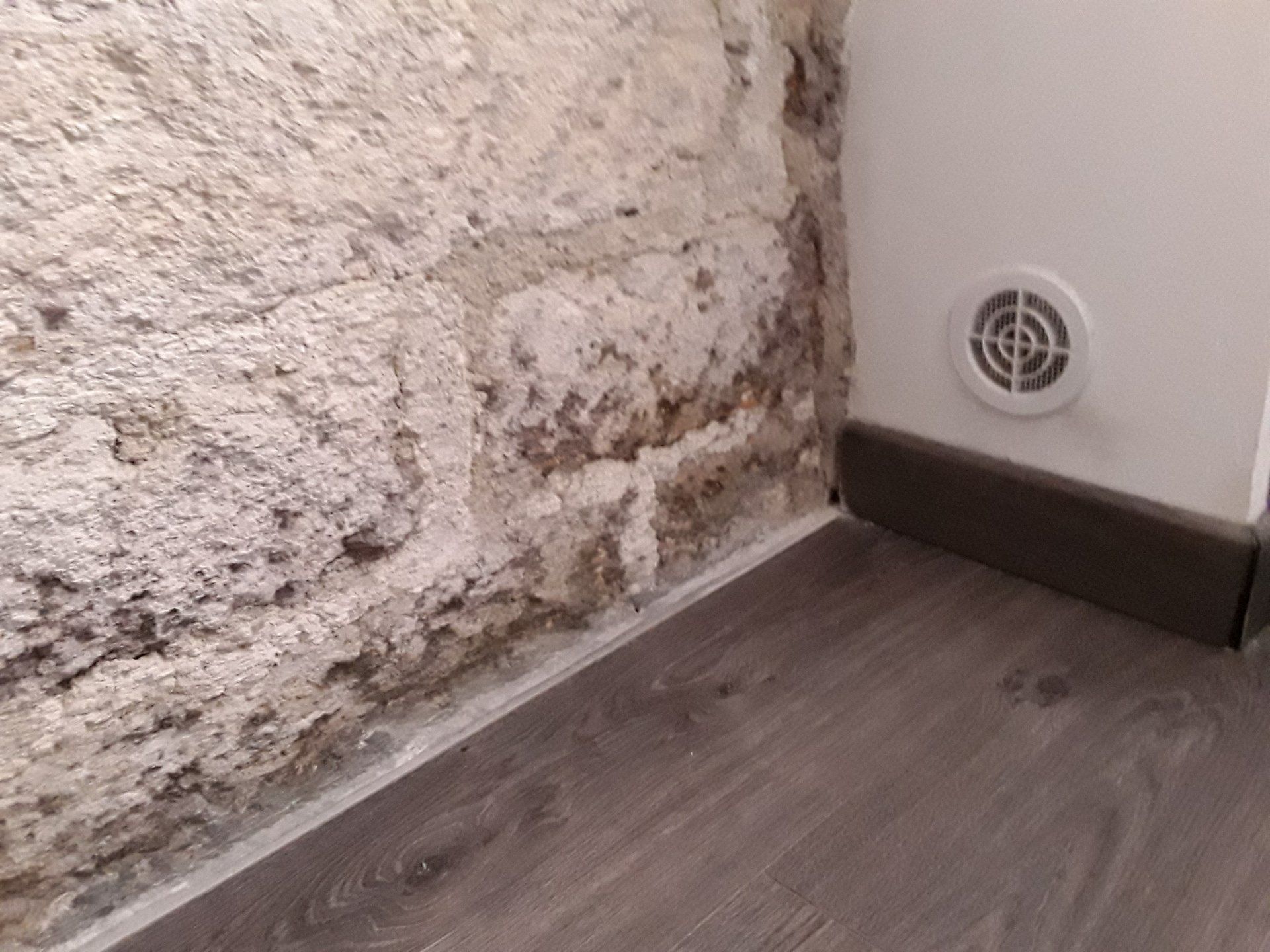 remontées capillaires sur un mur de pierre ancien en intérieur