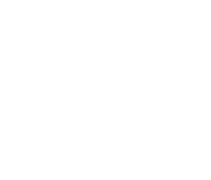 icono quienes somos blanco