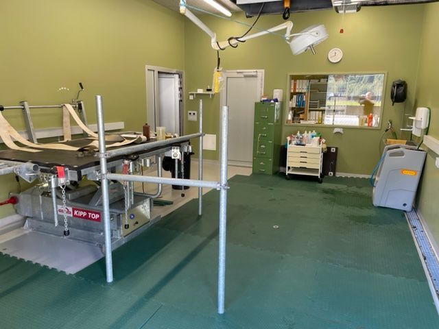 Kleintierpraxis Stadler