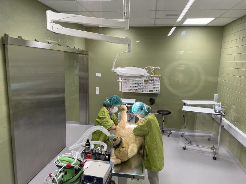 Kleintierpraxis Stadler