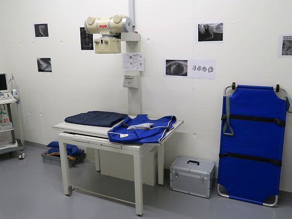 Kleintierpraxis Stadler