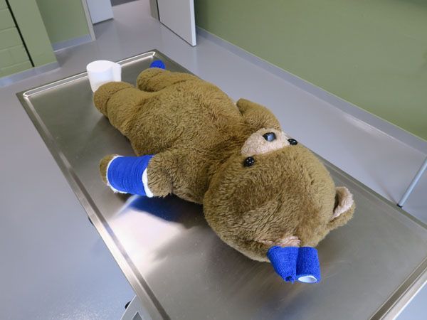 Kleintierpraxis Stadler