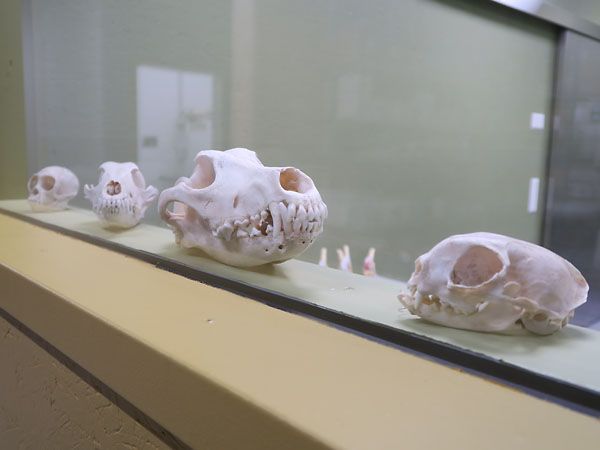 Kleintierpraxis Stadler