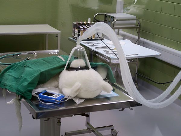 Kleintierpraxis Stadler