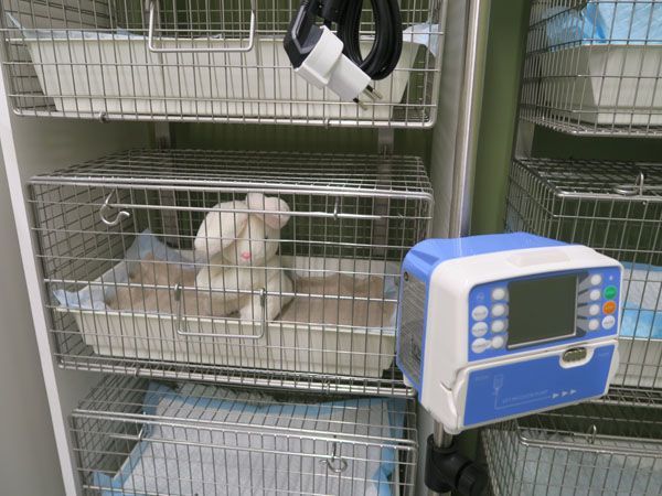 Kleintierpraxis Stadler