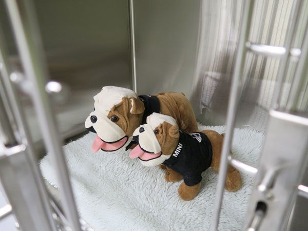 Kleintierpraxis Stadler