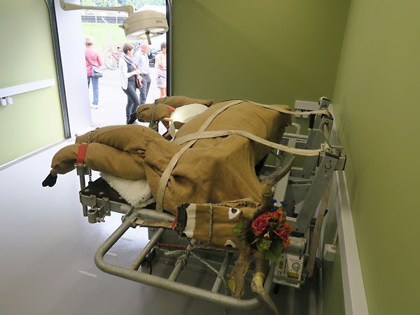 Kleintierpraxis Stadler