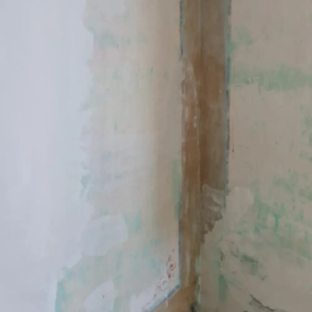 Esquina interior de las paredes pintadas de blanco y verde. Se ve un marco de madera.